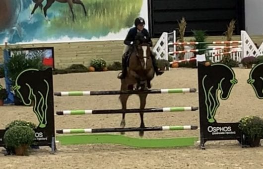 Frontpg-BancoDuBarquet- sale horse- front page- top Frontpg-BancoDuBarquet- sale horse- front page- top