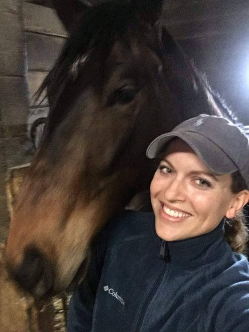 Sale-Horse-Shug Sale-Horse-Shug
