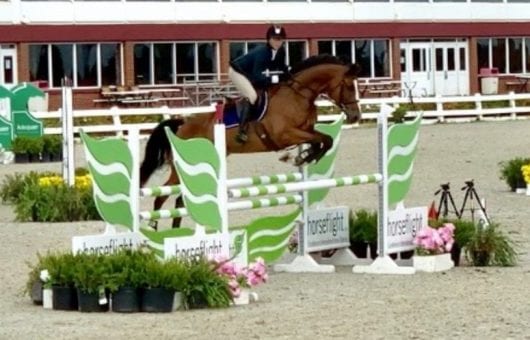 training-top page - Banco Du Barquett- sale horse- training page- good pic training-top page - Banco Du Barquett- sale horse- training page- good pic